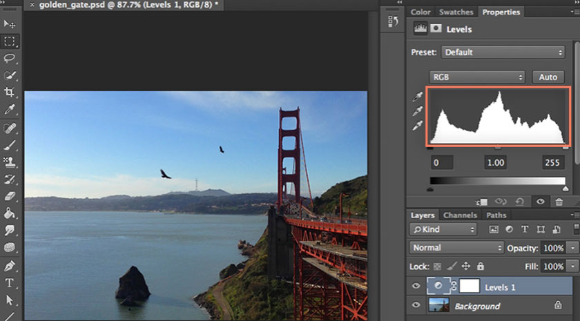 vị trí biểu đồ histogram