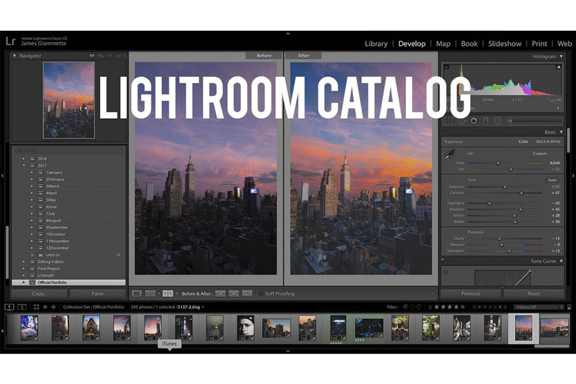 Catalog trong Lightroom: Bạn có biết?