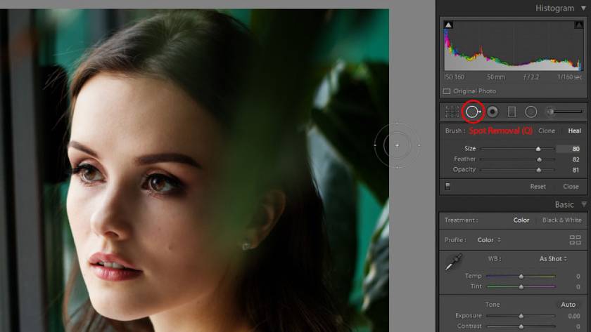 Cua cụ trên lightroom dùng xoá mụn