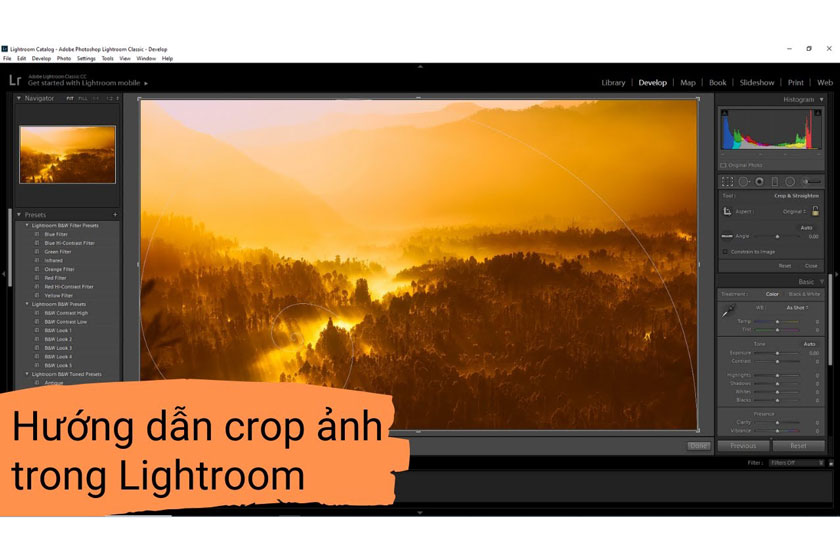 Hướng dẫn Crop ảnh trong Lightroom Classic 2019