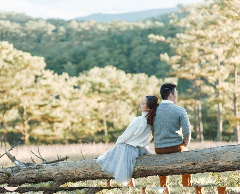 Ảnh cưới đồi thông đà lạt