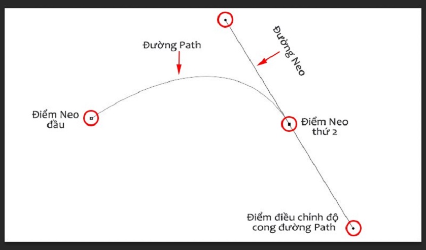 Hướng dẫn dùng pen tool